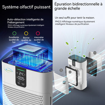 Purificateur d'air intelligent elimination du formaldéhyde désinfection UV et économe en énergie affichage numérique ions négatifs
